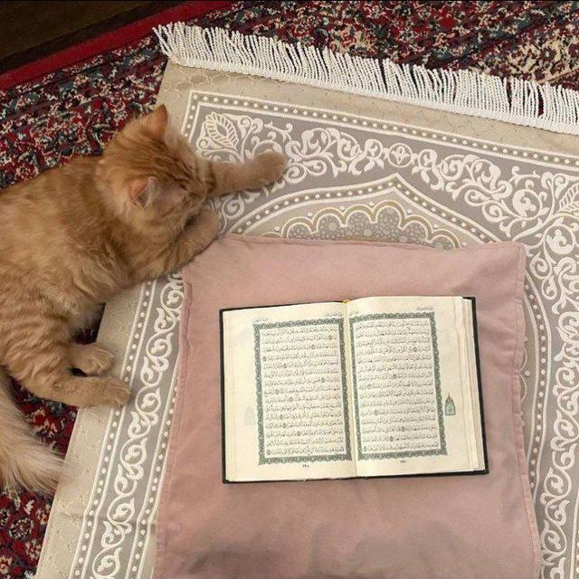 صدقه جاريه ل ماما رحمها الله😔.