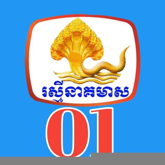 ព័ត៌មាន រស្មីនាគមាស(Channel)