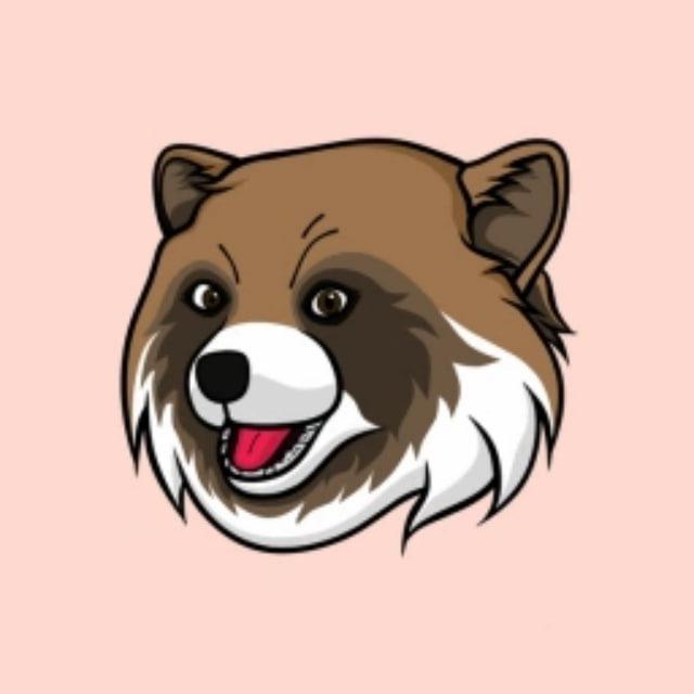 Raccoon Dog