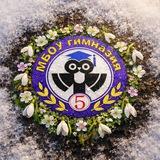 МБОУ гимназия №5
