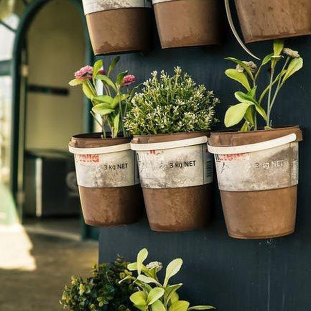 Smart Gardening Ideas
