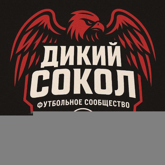 Дикий Сокол | ДС