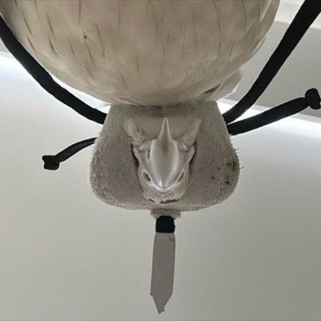 ­­­­­­