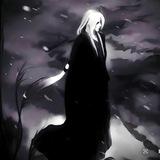 鹤风扬（回单诚信频道）