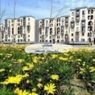 رضوان و مشروعات الإسكان