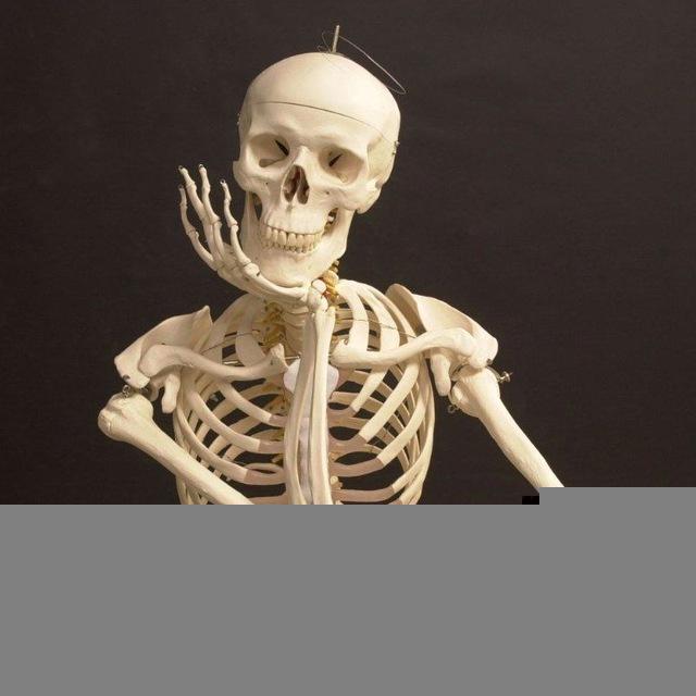 للإيجار (Bone)☠