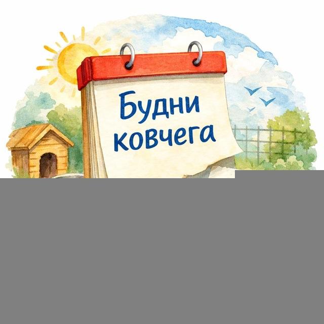 Будни Ковчега