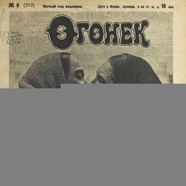 Литературная мясорубка