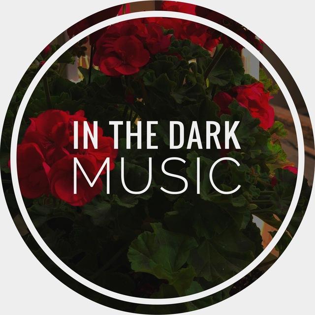 inthedark music🖤🌀