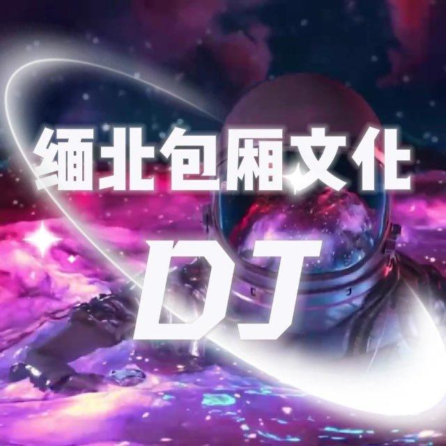 缅北包厢文化DJ