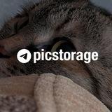 /storage