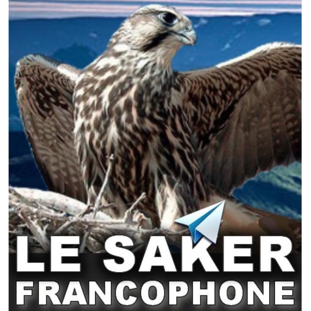 Le Saker Francophone