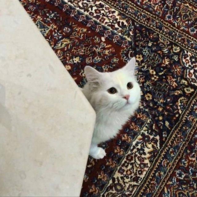 أجر
