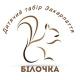 Закарпаття🏕 Табір "Білочка"🐿