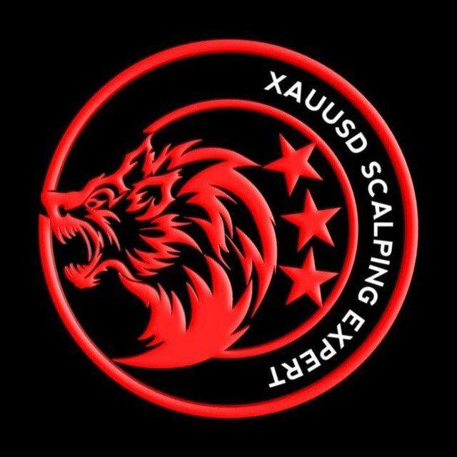 XAUUSD SCALPING EXPERT