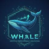 Whale(کسپ درآمد دلاری، بازار های مالی کریپتو و فارکس) 🐳