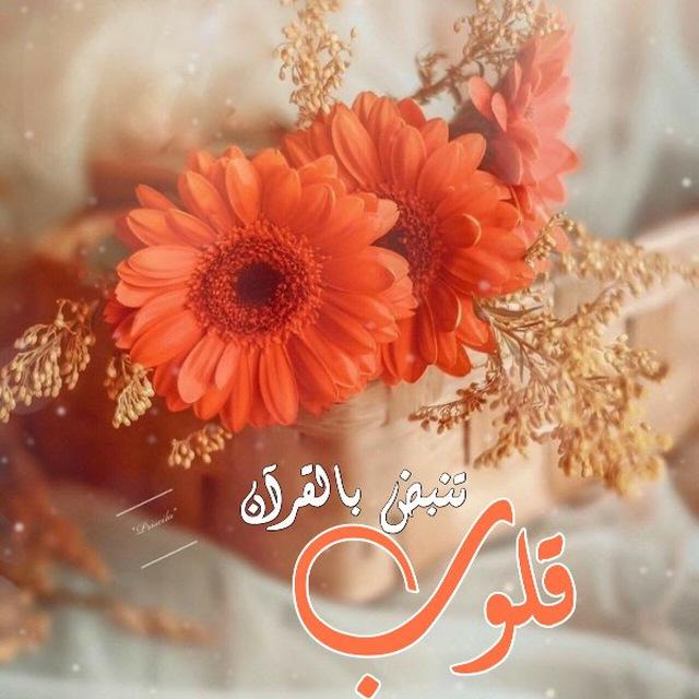 قُلُوبٌ تَنبِضُ بِالْقُرْآنِ