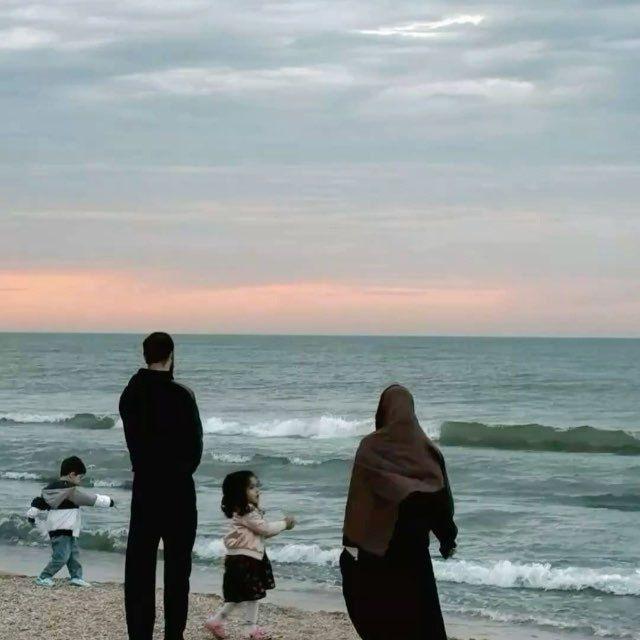 شركه الصفوه للاستثمار