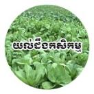 យល់ដឹងកសិកម្ម Channel