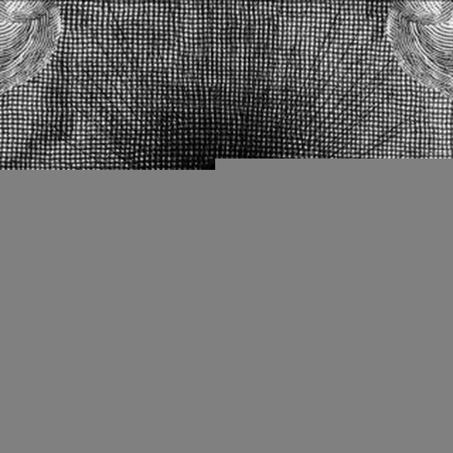 𓁹