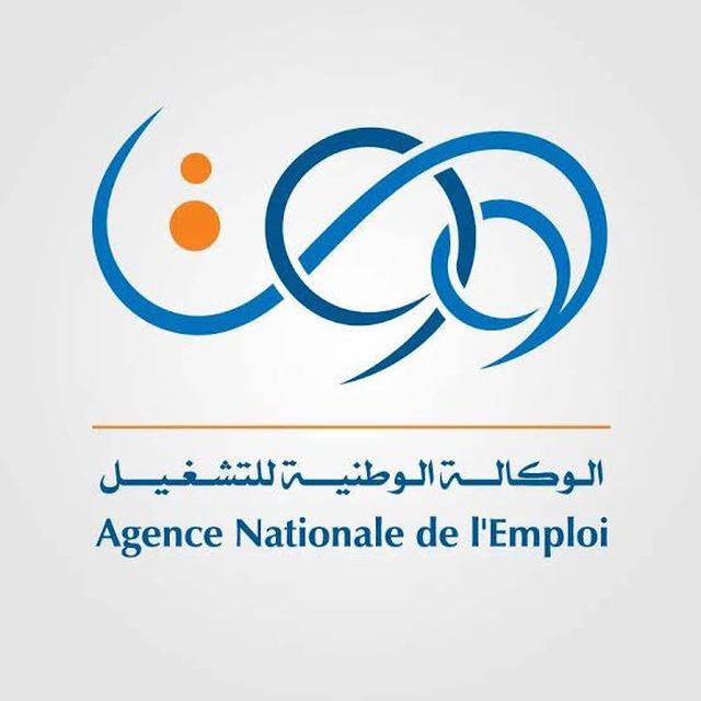 منحة البطالة والدراسة بالمراسلة