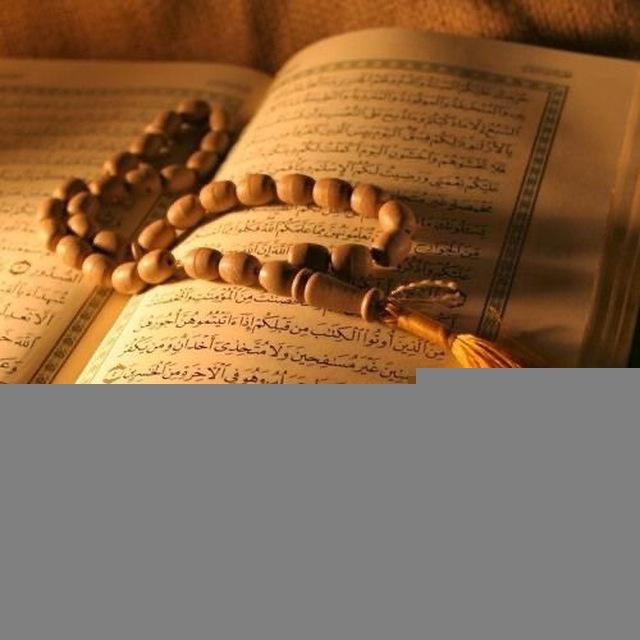 القرآن الكريم🤍