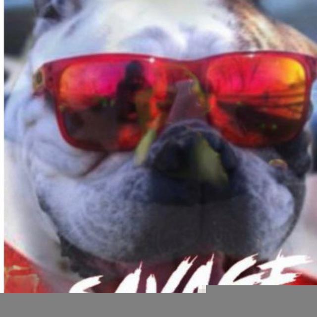 SQvQge Dawg