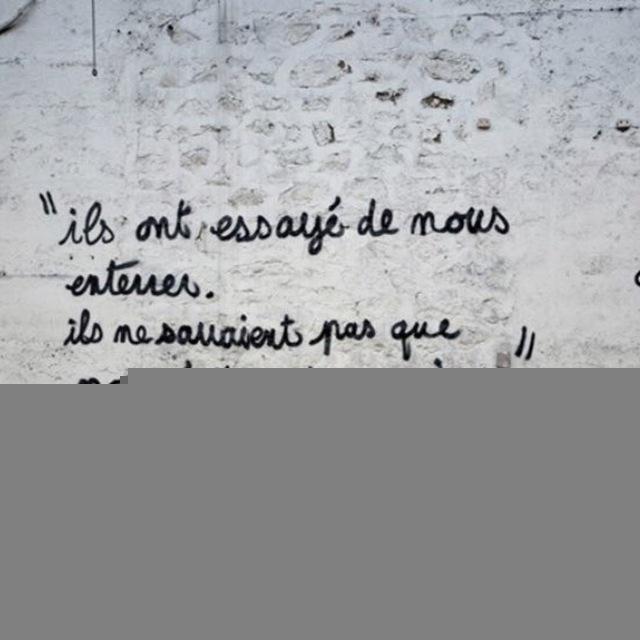 Nous sommes des graines