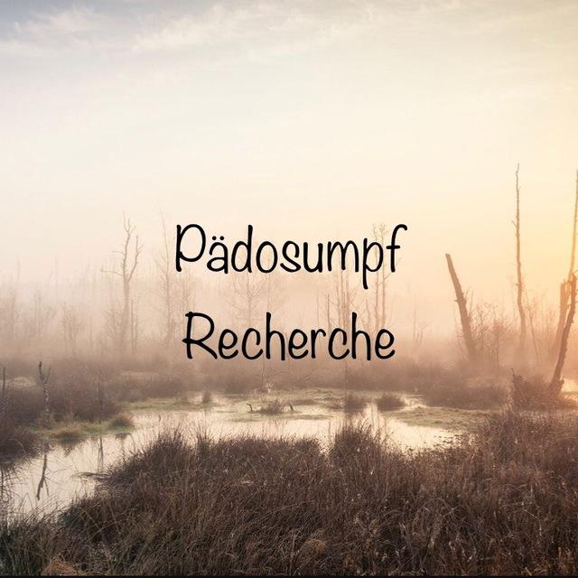 🔎 Pädosumpf Recherche 🔍