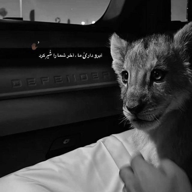 •کمیل |•𝗠𝘂𝘀𝗶𝗰🎧