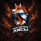 ДХК «Магнитные Лисы»