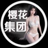 樱花集团物流反馈