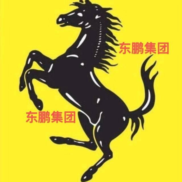 福建东鹏专线出货【新新新】