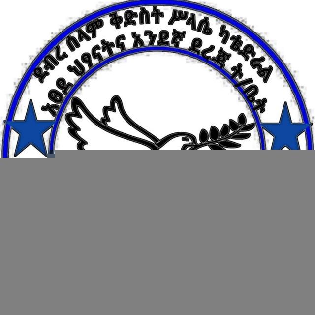ደብረ ሰላም ቅድስት ሥላሴ ካቴድራል አፀደ ህፃናት እና አንደኛ ደረጃ ት/ቤት DEBRE SELAM KIDIST SILLASSIE CATHEDRAL KG AND PRIMARY SCHOOL HAWASSA