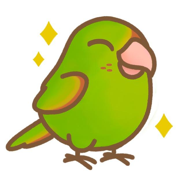 SHINYBIRD APPROVED 🦜
