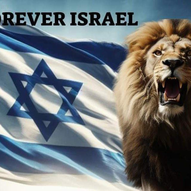 United for Israel - Hamas massacre in Israel 🇮🇱