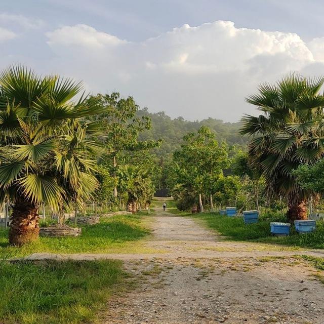 Paradisegarden باغ بهشت
