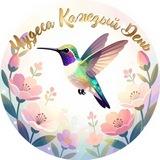 ✨ Birdie Miracles ✨