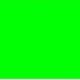 Green Slips🏆