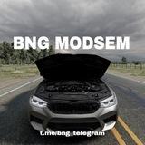 BNG MODSEM
