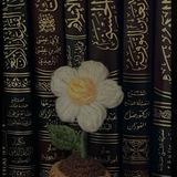 معاً للجنّة📚📻.