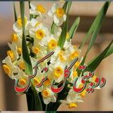 دوིبیــتِ้ی گིــل نؔرگــِ٘س