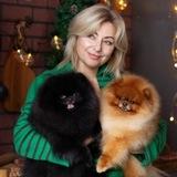 @Pomeranian_lave ❤️ #померанскийшпиц🐶
