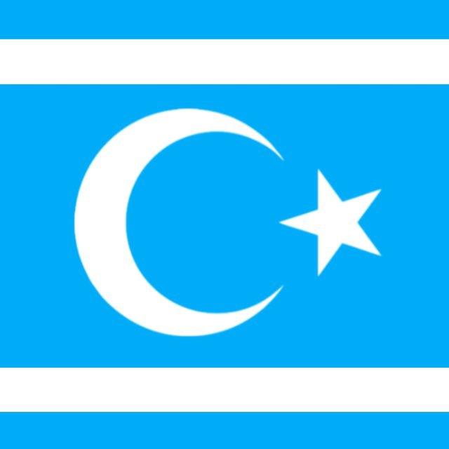 Türkmen eğitimi