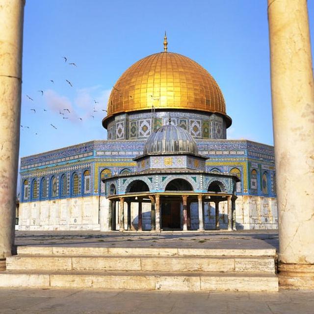 ستوريات فلسطين 🇵🇸
