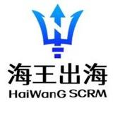 海王出海SCRM-翻译计数器
