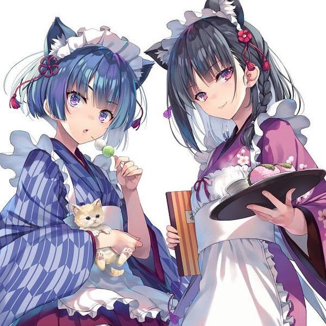 Classroom of the Elite light novel VF