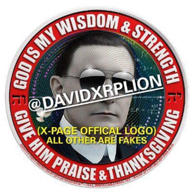 DAVID XRP LION CHAT