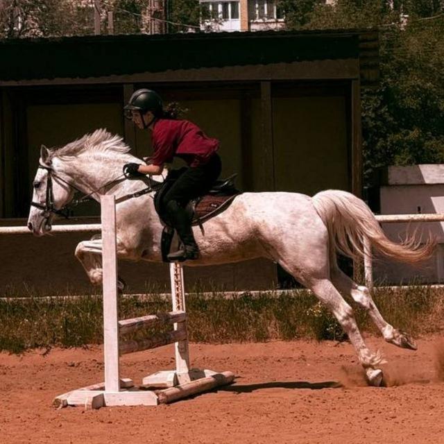 🐎𝑲𝒐𝒏𝒏𝒚𝒚 𝒎𝒊𝒓🕸