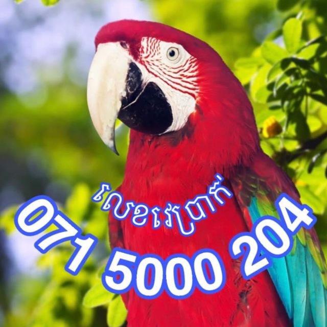 ហេងហេង តម្រុយឆ្នោតយួន